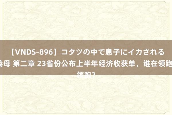 【VNDS-896】コタツの中で息子にイカされる義母 第二章 23省份公布上半年经济收获单，谁在领跑？