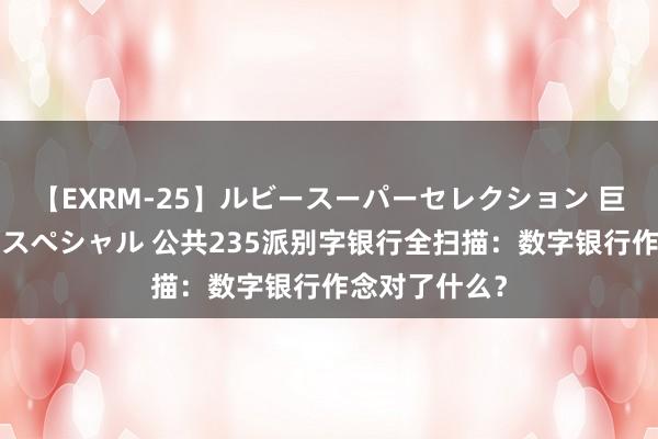 【EXRM-25】ルビースーパーセレクション 巨乳豊満4時間スペシャル 公共235派别字银行全扫描：数字银行作念对了什么？