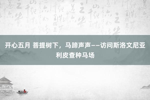 开心五月 菩提树下，马蹄声声——访问斯洛文尼亚利皮查种马场