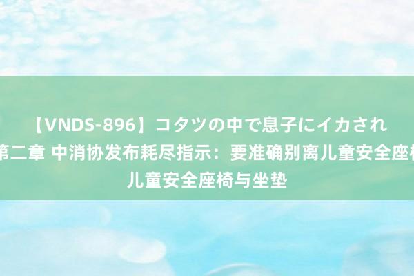 【VNDS-896】コタツの中で息子にイカされる義母 第二章 中消协发布耗尽指示：要准确别离儿童安全座椅与坐垫