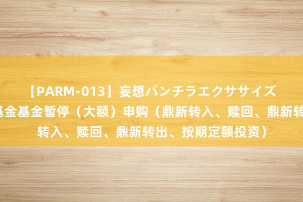 【PARM-013】妄想パンチラエクササイズ 公告速递：东南亚基金基金暂停（大额）申购（鼎新转入、赎回、鼎新转出、按期定额投资）