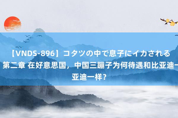 【VNDS-896】コタツの中で息子にイカされる義母 第二章 在好意思国，中国三蹦子为何待遇和比亚迪一样？