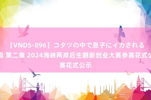 【VNDS-896】コタツの中で息子にイカされる義母 第二章 2024海峡两岸后生翻新创业大赛参赛花式公示