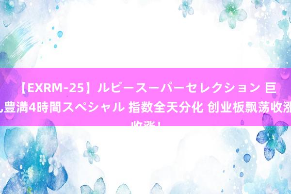 【EXRM-25】ルビースーパーセレクション 巨乳豊満4時間スペシャル 指数全天分化 创业板飘荡收涨！