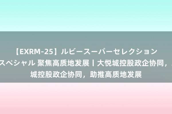 【EXRM-25】ルビースーパーセレクション 巨乳豊満4時間スペシャル 聚焦高质地发展丨大悦城控股政企协同，助推高质地发展