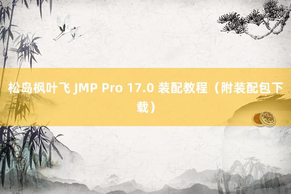 松岛枫叶飞 JMP Pro 17.0 装配教程（附装配包下载）