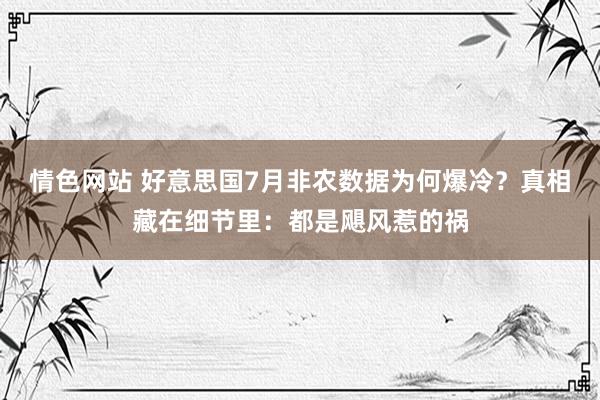 情色网站 好意思国7月非农数据为何爆冷？真相藏在细节里：都是飓风惹的祸