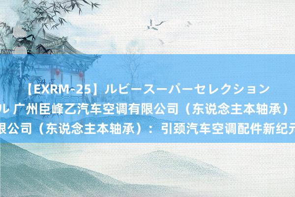 【EXRM-25】ルビースーパーセレクション 巨乳豊満4時間スペシャル 广州臣峰乙汽车空调有限公司（东说念主本轴承）：引颈汽车空调配件新纪元