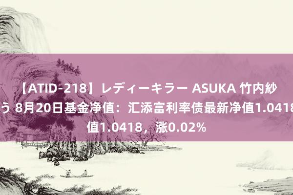 【ATID-218】レディーキラー ASUKA 竹内紗里奈 麻生ゆう 8月20日基金净值：汇添富利率债最新净值1.0418，涨0.02%