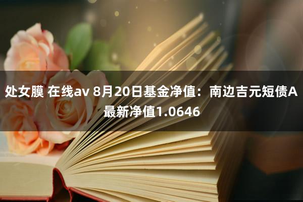 处女膜 在线av 8月20日基金净值：南边吉元短债A最新净值1.0646