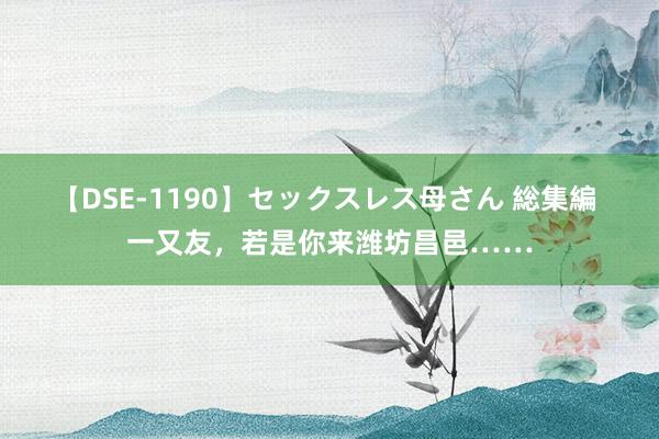 【DSE-1190】セックスレス母さん 総集編 一又友，若是你来潍坊昌邑……