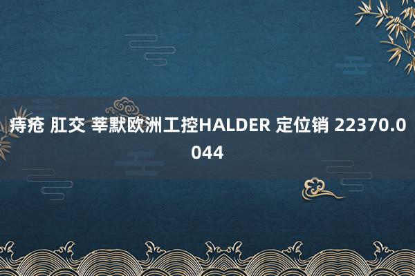 痔疮 肛交 莘默欧洲工控HALDER 定位销 22370.0044