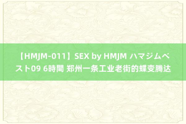 【HMJM-011】SEX by HMJM ハマジムベスト09 6時間 郑州一条工业老街的蝶变腾达