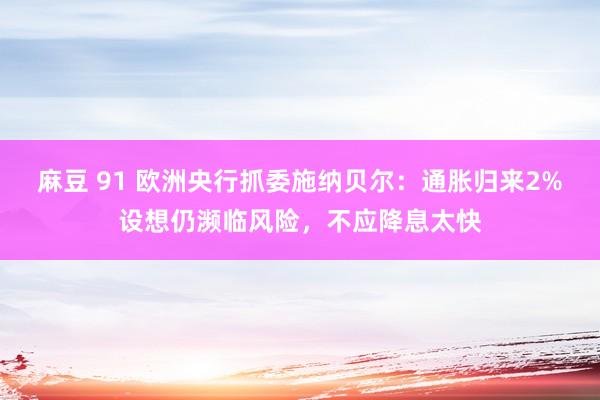 麻豆 91 欧洲央行抓委施纳贝尔：通胀归来2%设想仍濒临风险，不应降息太快