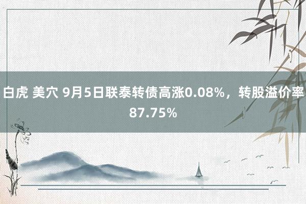 白虎 美穴 9月5日联泰转债高涨0.08%，转股溢价率87.75%