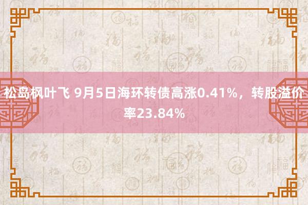 松岛枫叶飞 9月5日海环转债高涨0.41%，转股溢价率23.84%