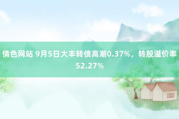 情色网站 9月5日大丰转债高潮0.37%，转股溢价率52.27%