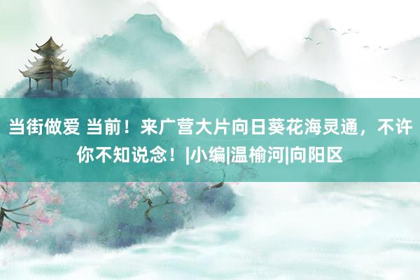 当街做爱 当前！来广营大片向日葵花海灵通，不许你不知说念！|小编|温榆河|向阳区