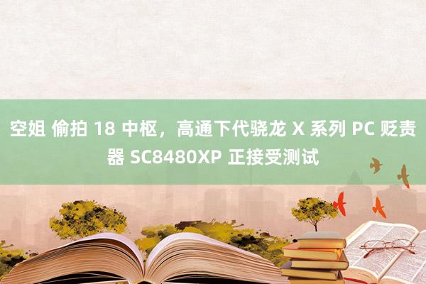 空姐 偷拍 18 中枢，高通下代骁龙 X 系列 PC 贬责器 SC8480XP 正接受测试